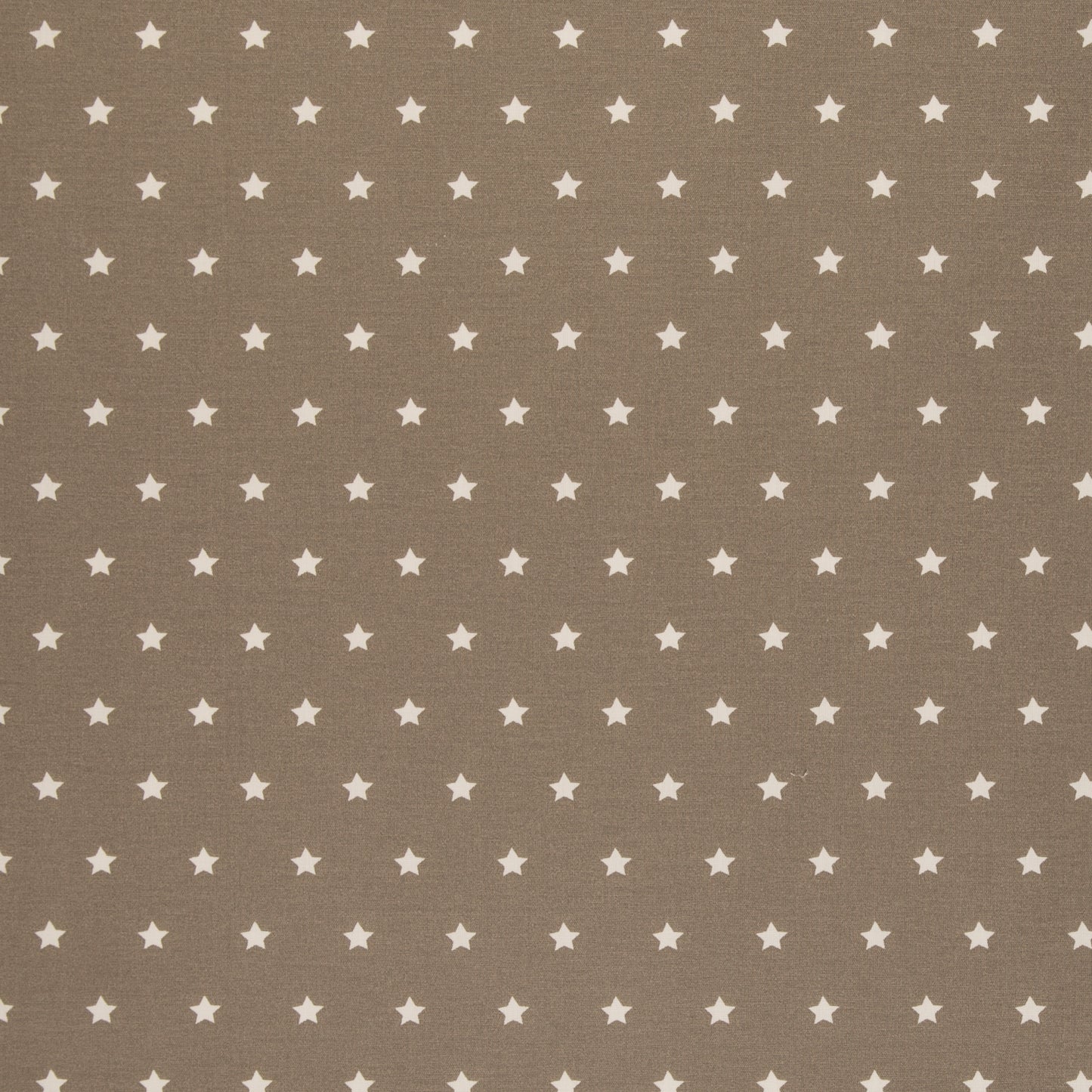Beschichtete Baumwolle mit Acrylbeschichtung Sterne in Schlamm Taupe Beige, Swafing Meluna