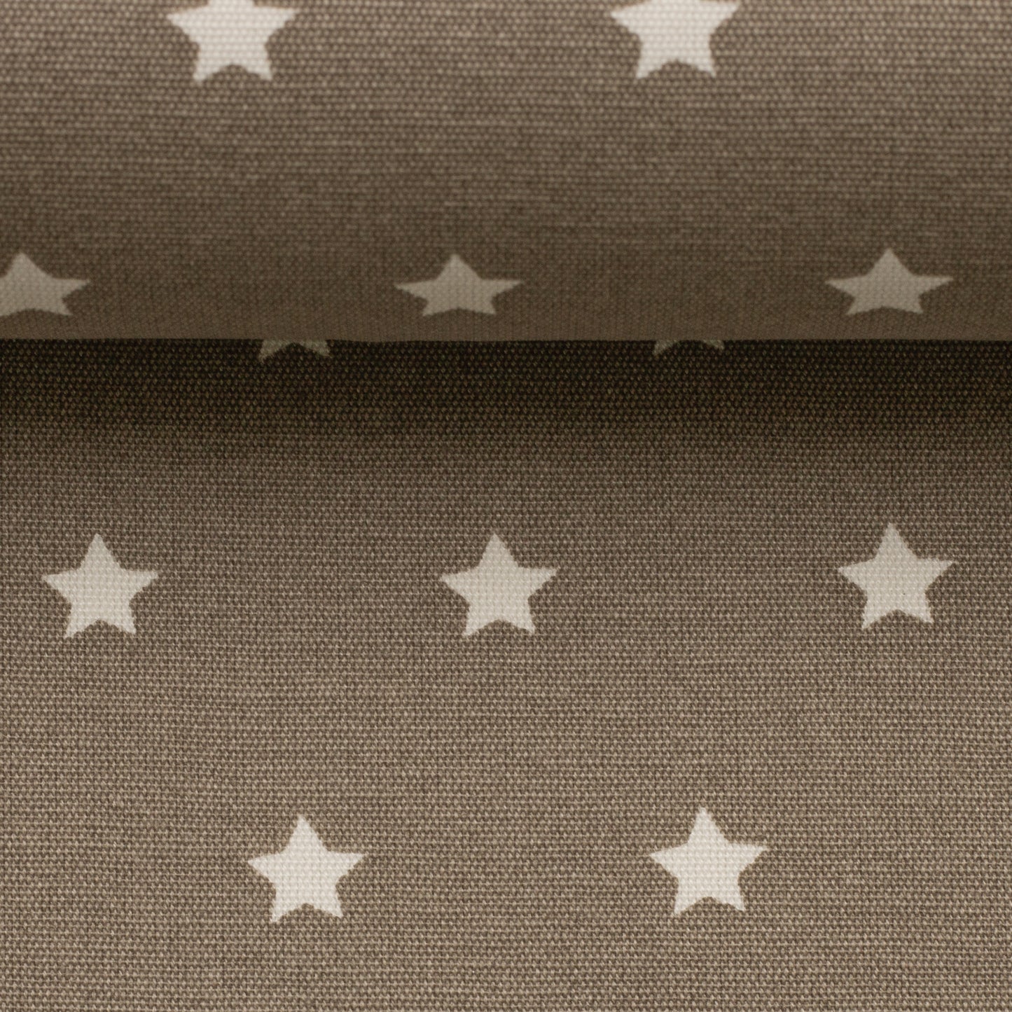 Beschichtete Baumwolle mit Acrylbeschichtung Sterne in Schlamm Taupe Beige, Swafing Meluna
