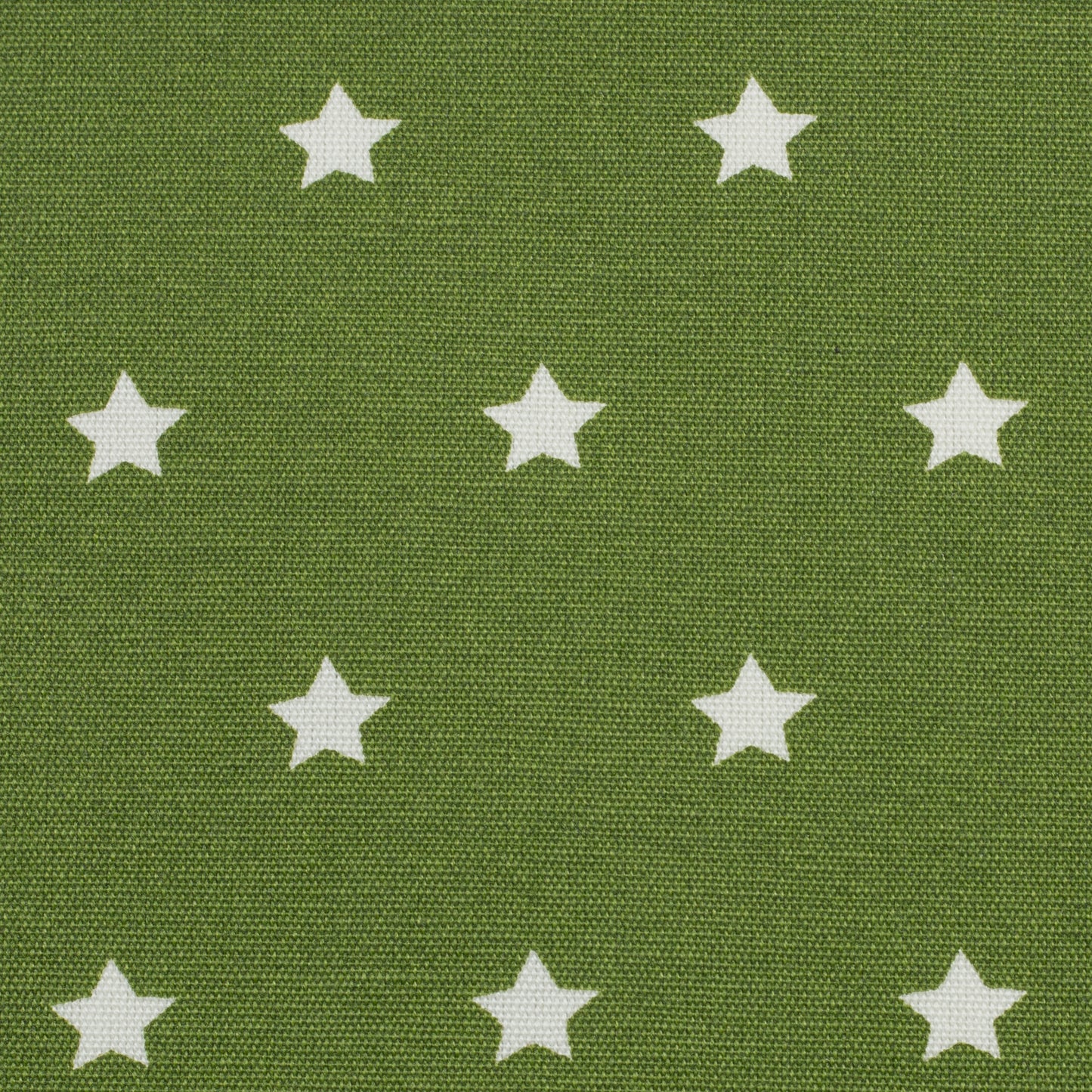 Beschichtete Baumwolle mit Acrylbeschichtung Sterne in Khaki Olivgrün, Swafing Meluna
