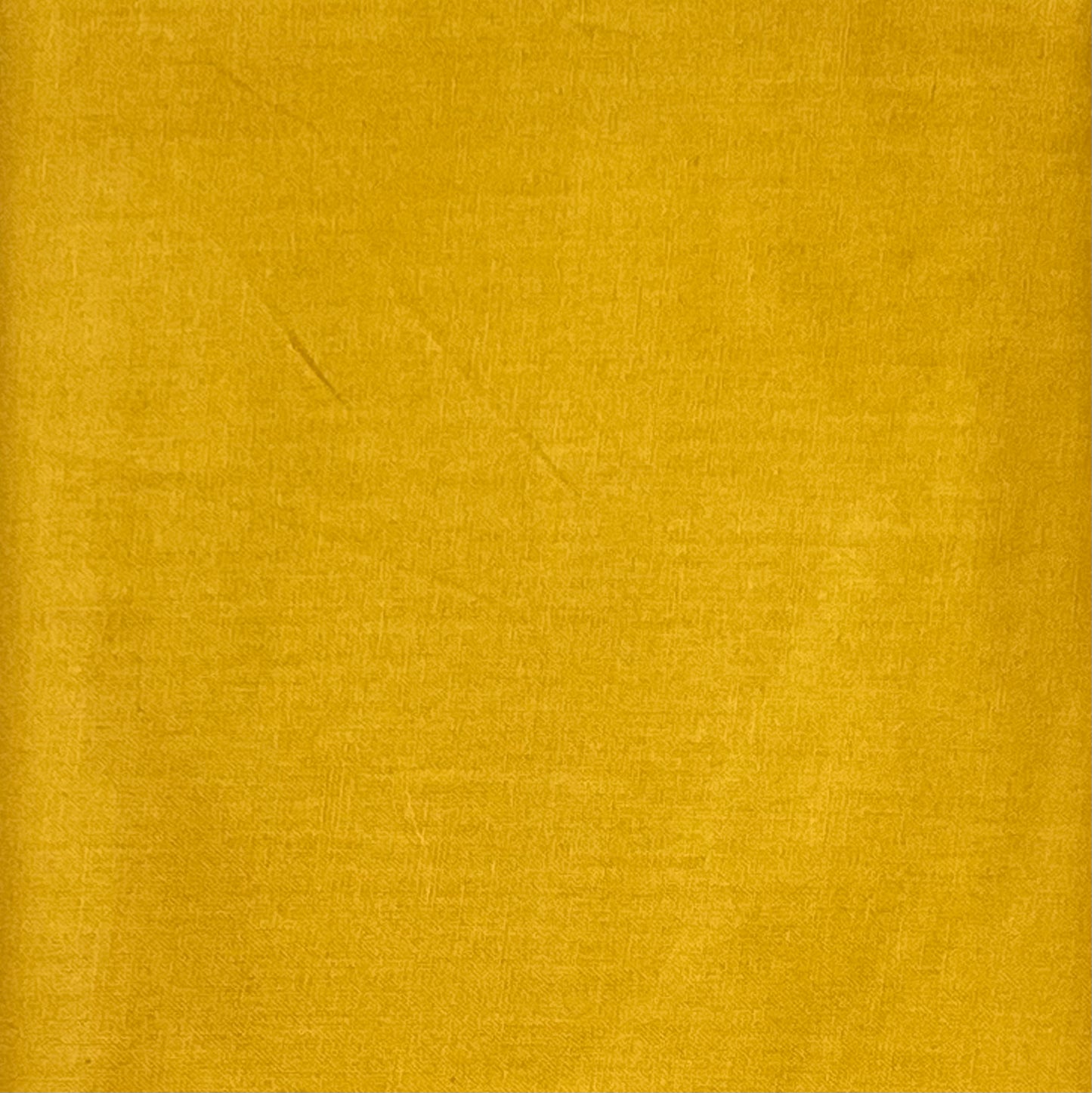 Tissu coton UNI JAUNE MOUTARDE 140 cm de large Coton vendu au mètre