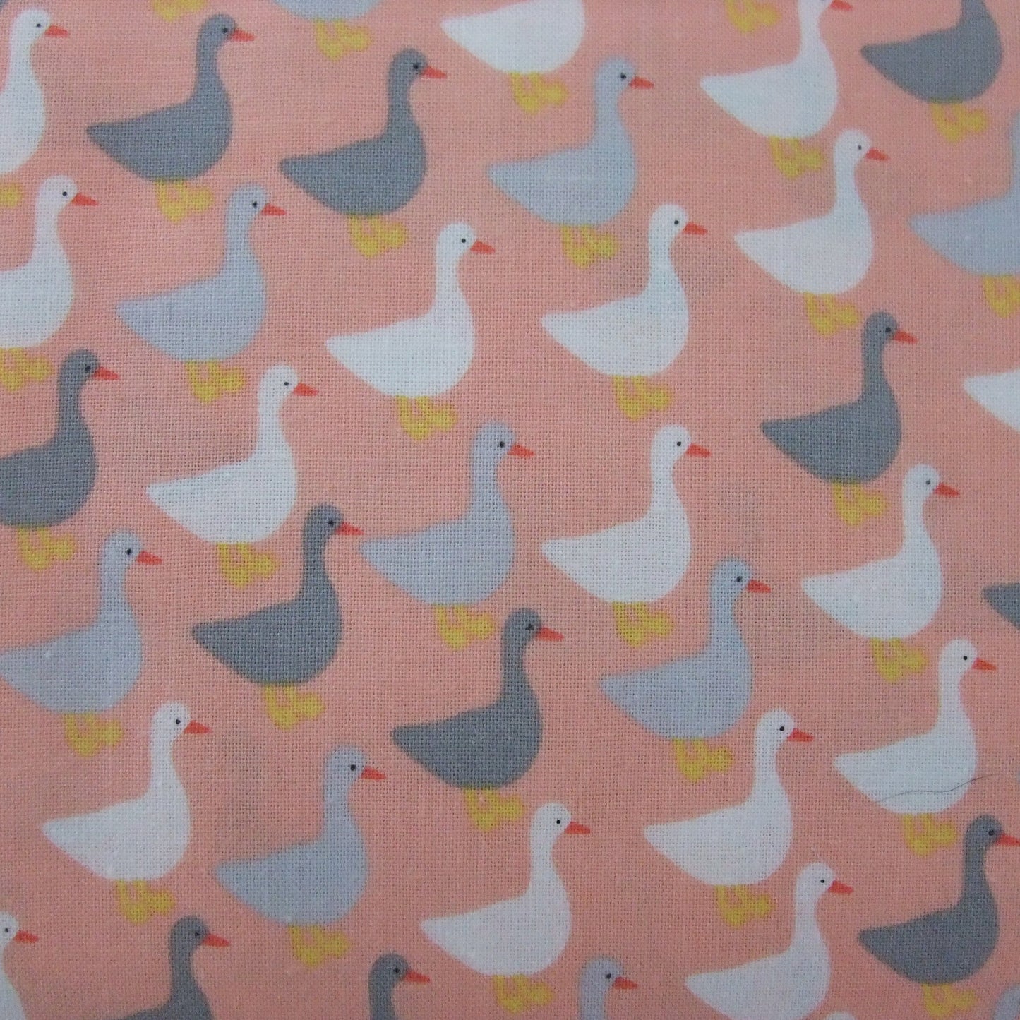 Robert Kaufman Baumwollstoff Urban Zoologie Minis GOOSE DUCK Peach Pink – Süßer Tierstoff mit Gänse und Enten in Apricot Rosa Grau