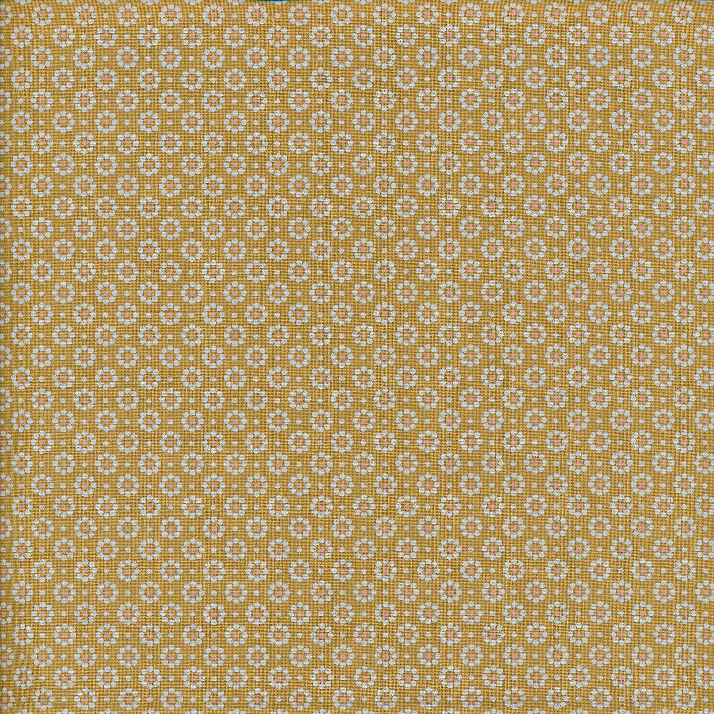 AU MAISON Wachstuch Belle Fleur Mustard Blümchen senfgelb, beschichtete Baumwolle